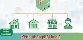 Kênh phân 
