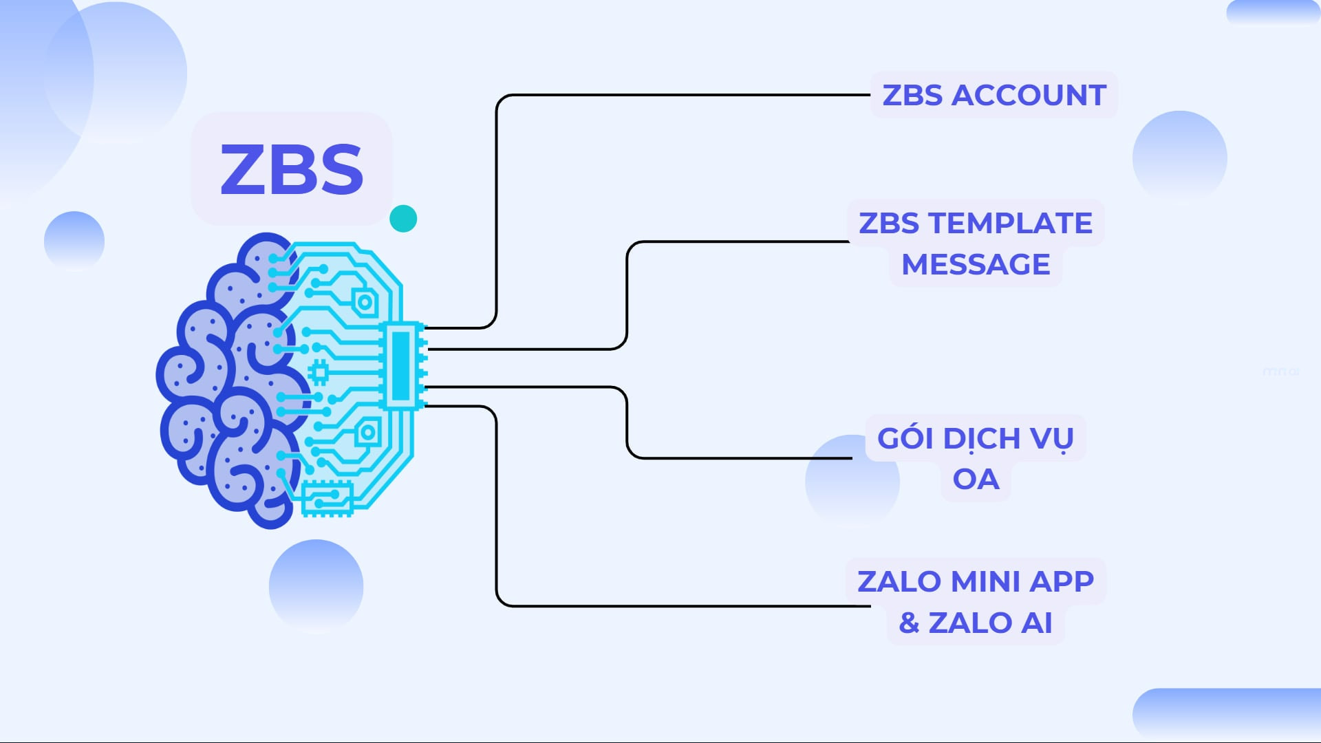 dịch vụ ZBS
