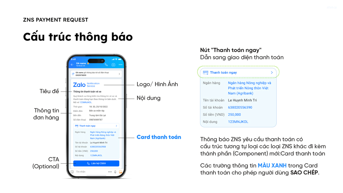 phân loại zbs