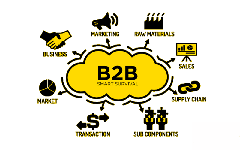 hiểu rõ hơn về công ty b2b tại việt nam